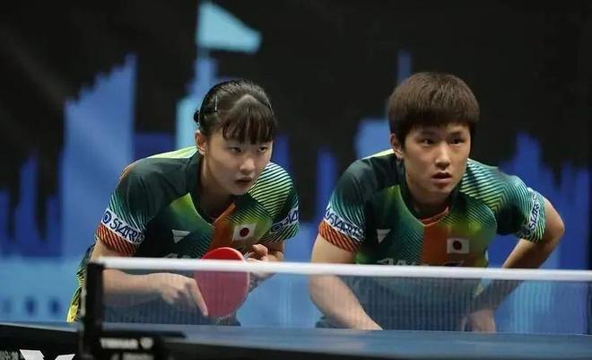 和优雅的节 和优雅的节