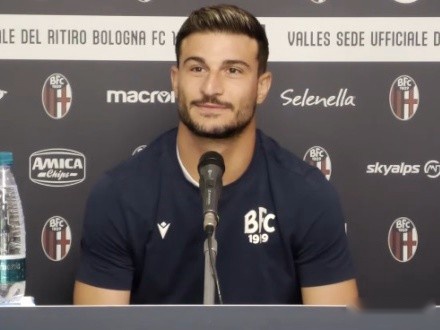 引入数据标 引入数据标